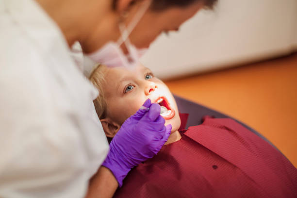 Best Emergency Dental Services for Seniors in Black Forest, CO